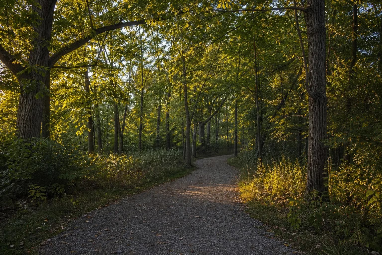 Preserve North Oakville prices page woodland trail context, North Oakville